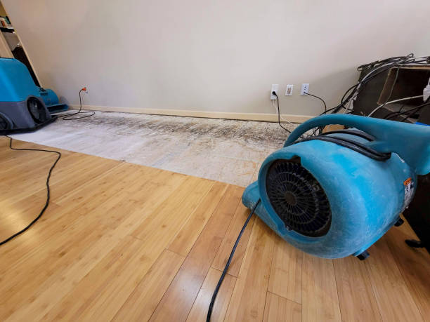Professional Water Damage Repair technician working in Sargent, TX